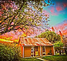 Way Out West NSW by Ann Barnes
