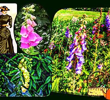 Mary, Mary, Quite Contrary, How Does Your Garden Grow? by Jane Neill-Hancock