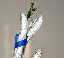 Helping Hand by Scott Smith