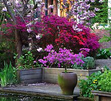 Purple Explosion by Hans Bax