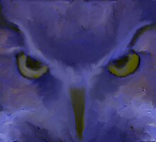 Mr Angry Eyes by John Ryan