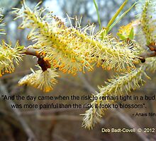 Untitled by Deb Badt-Covell