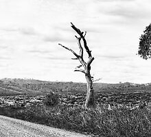 A Road Less Travelled - Oberon, NSW - The HDR Experience by Philip Johnson