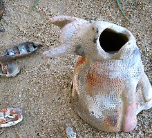 Hungry Kiln by Vikki-Rae Burns