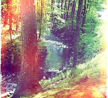 Enchantments by Lenagraphy