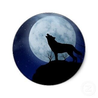 essay about dances with wolves essay about dances with wolves