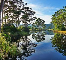 Reflections of Captain Cook Creek, Bruny Island, Tasmania by PC1134