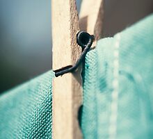 Day 319 - 24th May 2012 by petegrev