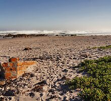 Nature Wins by CollinScott