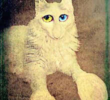 Nobody loves me because I have a big nose, but I do have beautiful eyes. by Scott Mitchell