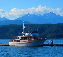 Poised in Proximity to the Precipice by M-EK