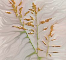 Sister Seedlings... by linmarie