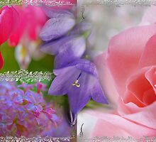 Gladness Abounding ~ Summer Flowering by JETAdamson
