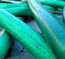 A Mess of Hose by Stephen Thomas