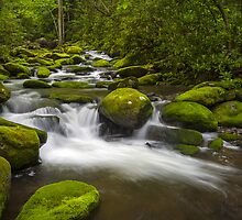 Smoky Mountains Paradise - Great Smoky Mountains Gatlinburg TN by Dave Allen