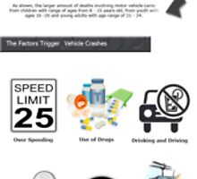 Vehicle Traffic Crashes: Death Cause - Infographic by VenuiceCraig