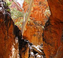 Standley Chasm 2 by Linda Lees