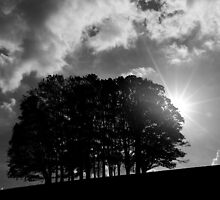 Hope... What a cliche! by Gwoeii