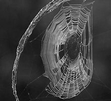 A web of deceit ! by jozi1