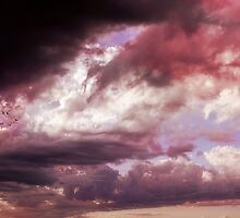 Wrong side of Heaven by Heather King