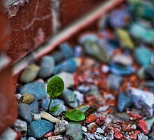 Nature vs Man by smithj7
