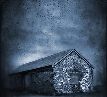 Rain by Svetlana Sewell