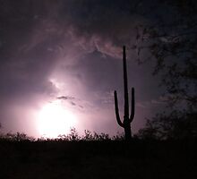 Lightening Bright Saguaro by Kimberly Chadwick