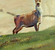 Deer Painting by MikeJory