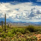 Visions of Arizona by Saija  Lehtonen