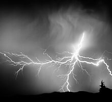Out Of The Black by Bob Larson