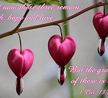 "The greatest of these is love" card by hummingbirds