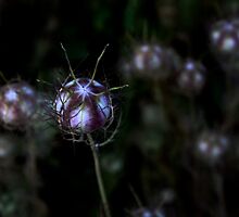 The Little Alien Who needed a Hug....... by 1more photo
