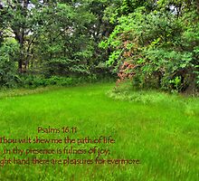 Thou Wilt Shew Me the Path of Life by aprilann
