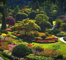 Sunken Garden - Butchart Garden by Yannik Hay