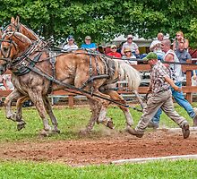 *** RUNAWAY TEAM *** by RGHunt