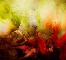 Resurrection by bonniebruno