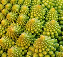 Romanesco Vortex by Keld Bach