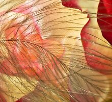 Petal's Womb by Kenneth Haley