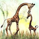 Olympia's Early Morning Wash by Kay Patterson