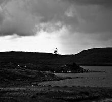 Ireland in Mono: Lonely Trees by Denise Abé