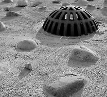 The Dome by Stephen Thomas