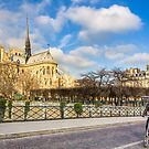 Seine Bike Ride - Notre Dame de Paris by Mark Tisdale
