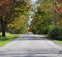 Autumn road 10/04/12 by mltrue