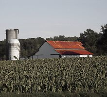 Old Farm v2 by Sanguine
