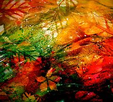October Eve.. by ©Janis Zroback