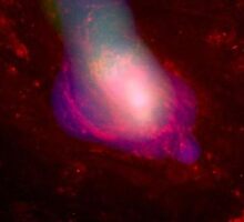 X-Ray Emissions from Black Hole by SOIL