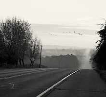 Foggy Migration by KBritt