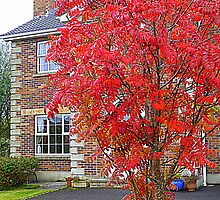Autumn In Suburbia by Fara