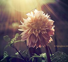 Begin Again by ibjennyjenny