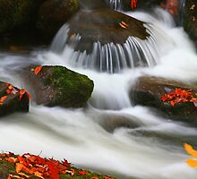 CASCADE AND LEAVES by Chuck Wickham